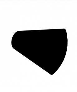 L PIN